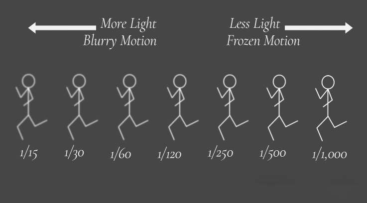sharpness in photography fundamentals